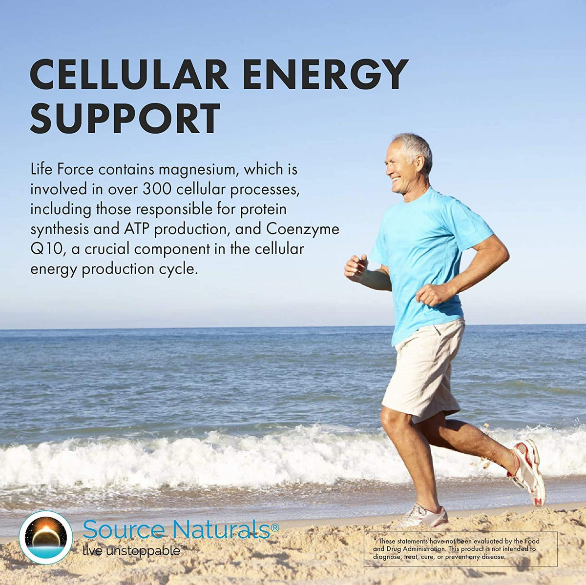 Source Naturals Life Force Multiple Daily Multivitamin High Potency Essential Vitamins, Minerals, Antioxidants & Nutrients - Energy & Immune Boost - 30 Tablets Source NaturalsBuy Supplements Australia