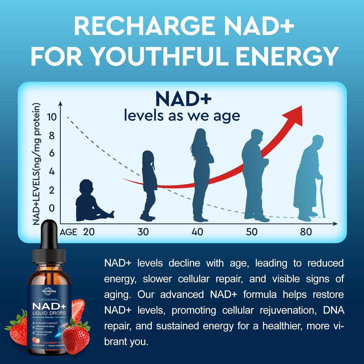 Liposomal NAD+ Liquid Supplement, Nad Resveratrol Supplement for Women & Men, Nicotinamide Riboside with PQQ, CoQ10, Quercetin for Anti-Aging, Brain, Cellular Energy Health, Strawberry Flavor, 2 Fl Oz ReviNutraBuy Supplements Australia