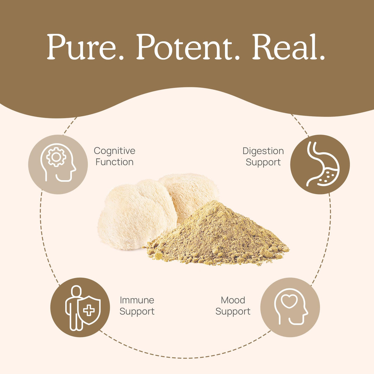 Real Mushrooms Lion’s Mane Powder - Organic Lions Mane Mushroom Extract Real MushroomsBuy Supplements Australia