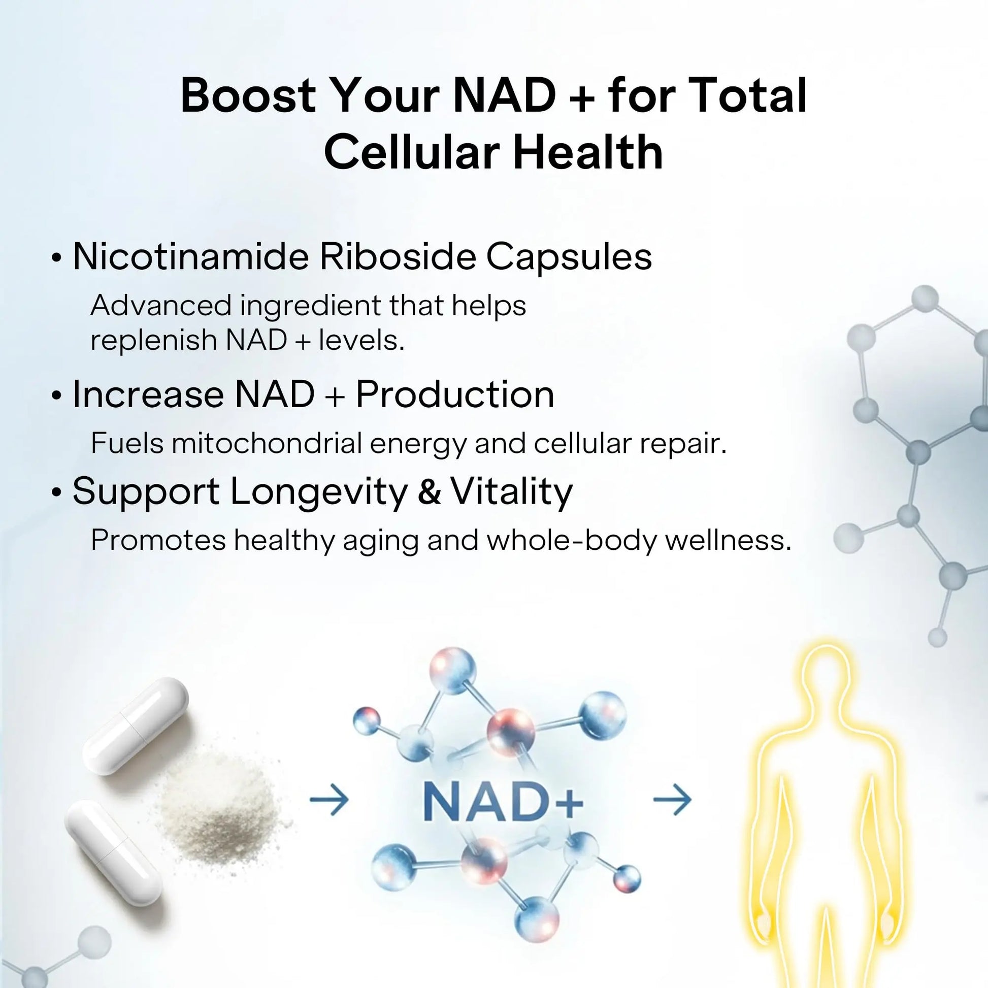 Liposomal NAD+ Supplement with Resveratrol - Nicotinamide Riboside 1000 Mg - NAD Supplements for Women & Men - NMN Supplement Alternative - Advanced NAD Resveratrol for Cellular Energy - 120 Capsules PharmlitaliaBuy Supplements Australia