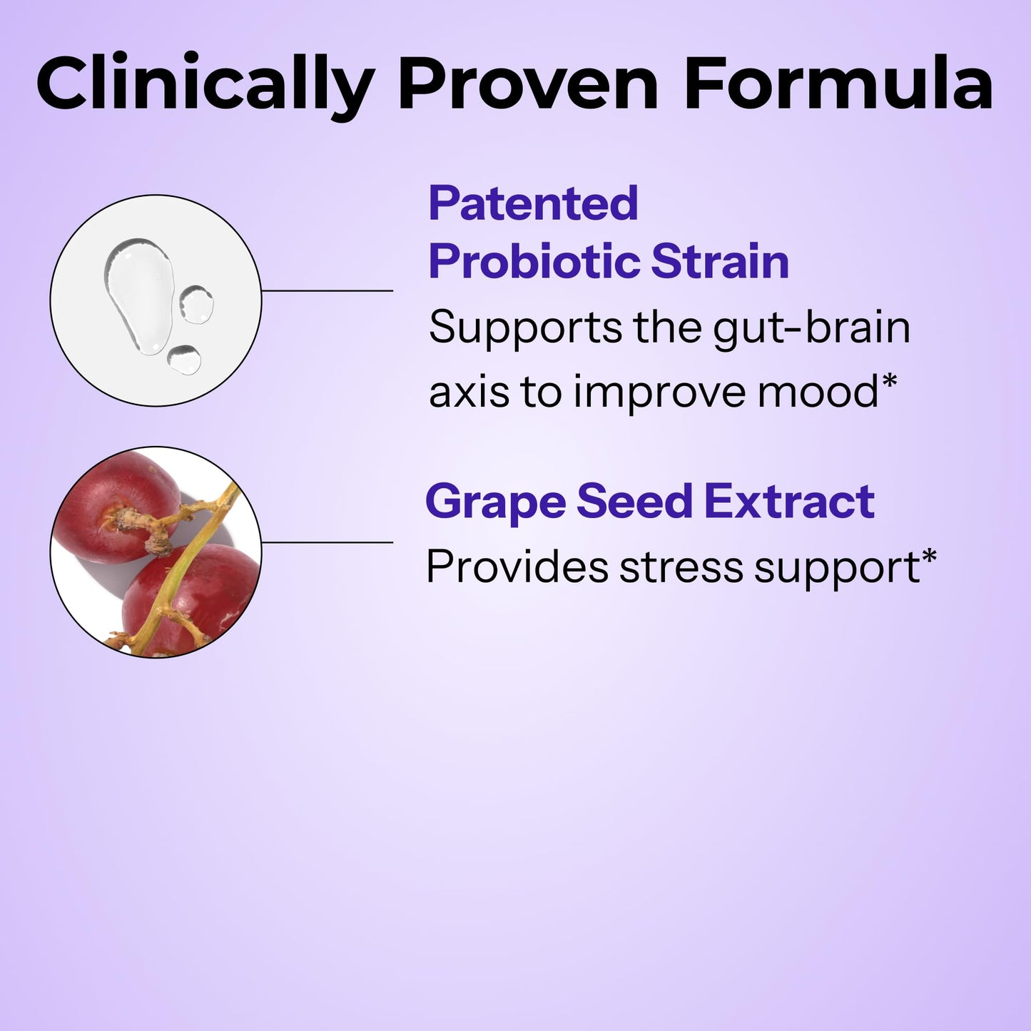 HUM Fan Club Menopause Probiotic Supplement, Estrogen Free Menopause Supplements for Women, Non Hormonal, Supports Energy & Hot Flashes, Grape Seed Extract & Siberian Rhubarb, 30 Vegan Capsules HUMBuy Supplements Australia