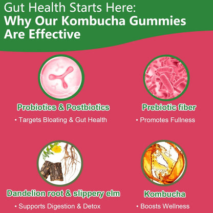 Itiban Probiotic Kombucha Gummy - Prebiotics, Probiotics, Postbiotics, Fiber Supplement, Slippery Elm for Bloating, Gut Health, Women and Men, 60ct ItibanBuy Supplements Australia