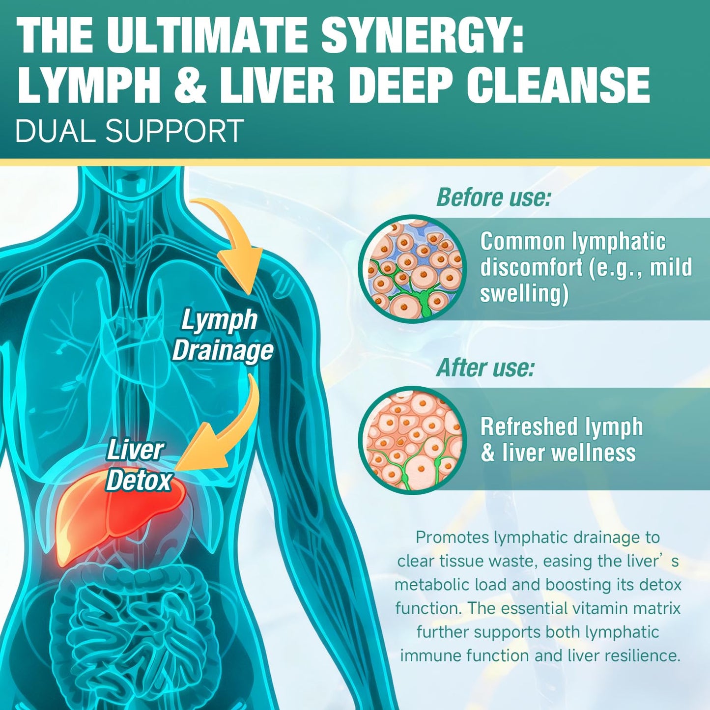 Maxhemphealth Liposomal Lymphatic Drainage Drops - 60ML Lymph & Liver Cleanse Supplement, Natural Herbal Blend & Multivitamin for Immunity, Lymphatic Support & Liver Detox, Vegan, Non-GMO, Gluten-Free Maxhemphealth buy supplements Au
