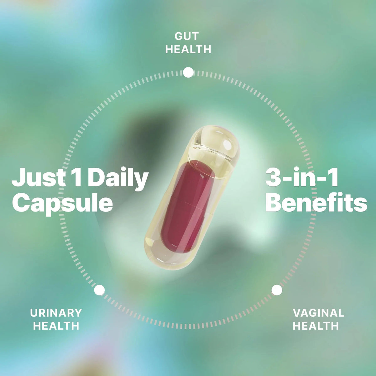 Evvy Women's 3-in-1 Complete Probiotic I Daily Probiotic Supplement to Reduce Bloating I Supports Gut, Urinary & Vaginal Health | Includes Vaginal Probiotics for Feminine Care | 30 Day Supply EvvyBuy Supplements Australia