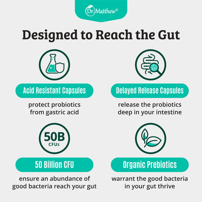 Prebiotics and Probiotics: Lactobacillus Gasseri, Lactobacillus Rhamnosus, Plantarum, Casei, Bifidobacterium longum, lactis, infantis. Probiotic Prebiotic,