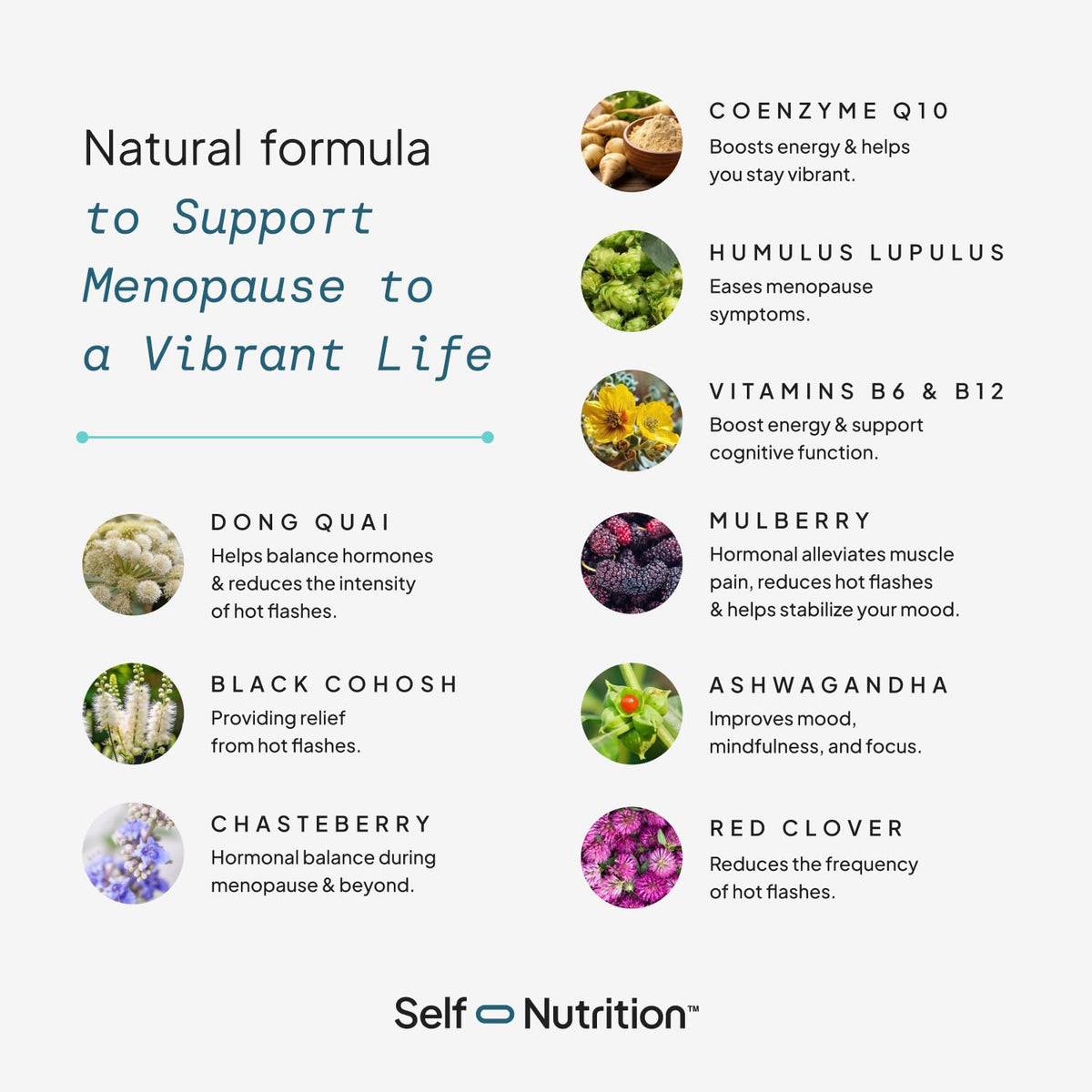 SELF NUTRITION Menopause Support for Women -All-Natural, Hormone-Free Perimenopause & Menopause Support. Unique Blend for Hot Flashes, Mood, Energy, Sleep & More. Vegan, Gluten-Free, 60 Capsules. SELF NUTRITIONBuy Supplements Australia