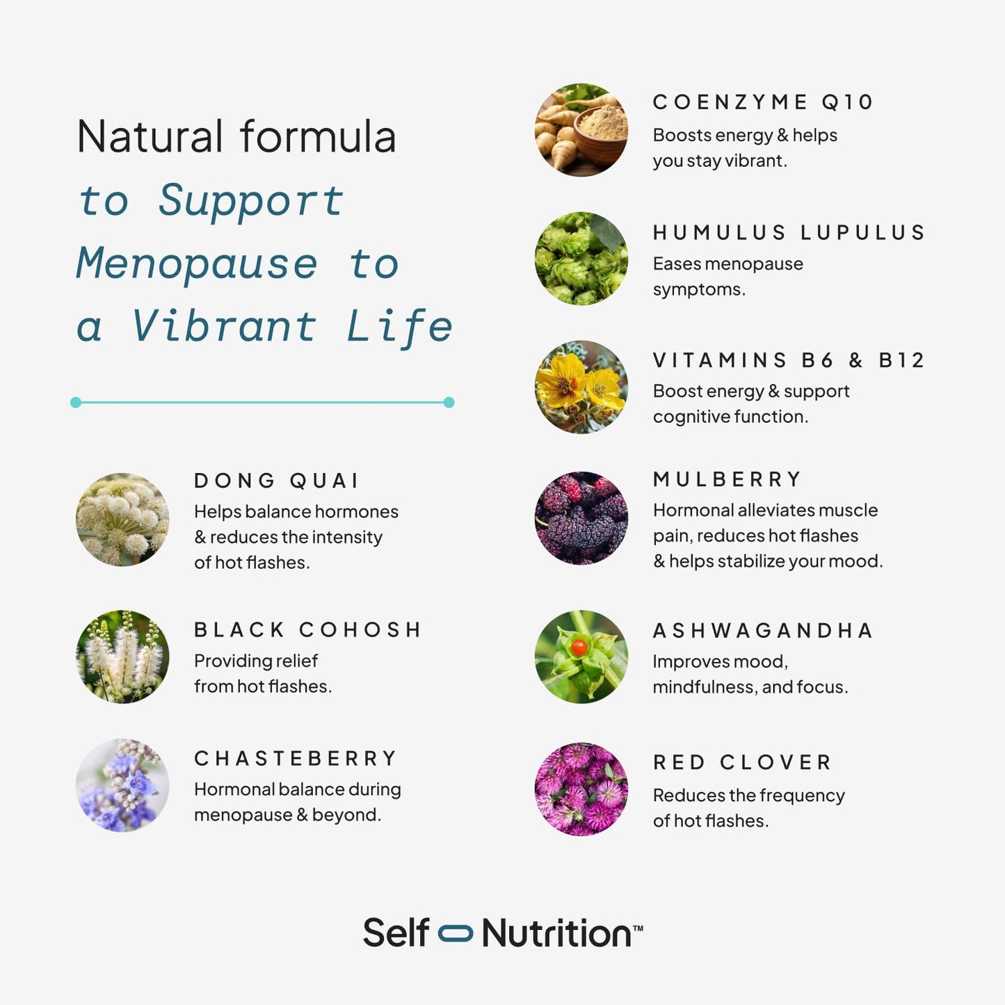 SELF NUTRITION Menopause Support for Women -All-Natural, Hormone-Free Perimenopause & Menopause Support. Unique Blend for Hot Flashes, Mood, Energy, Sleep & More. Vegan, Gluten-Free, 60 Capsules. SELF NUTRITIONBuy Supplements Australia