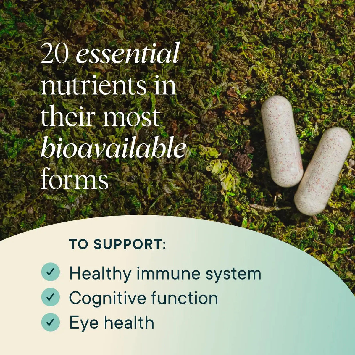 Ora Organic Plant Based Multivitamin for Women and Men, Bluelight Protection - Brain, Eye, Energy, Immune, Skin, Hair, Heart Ora Organic