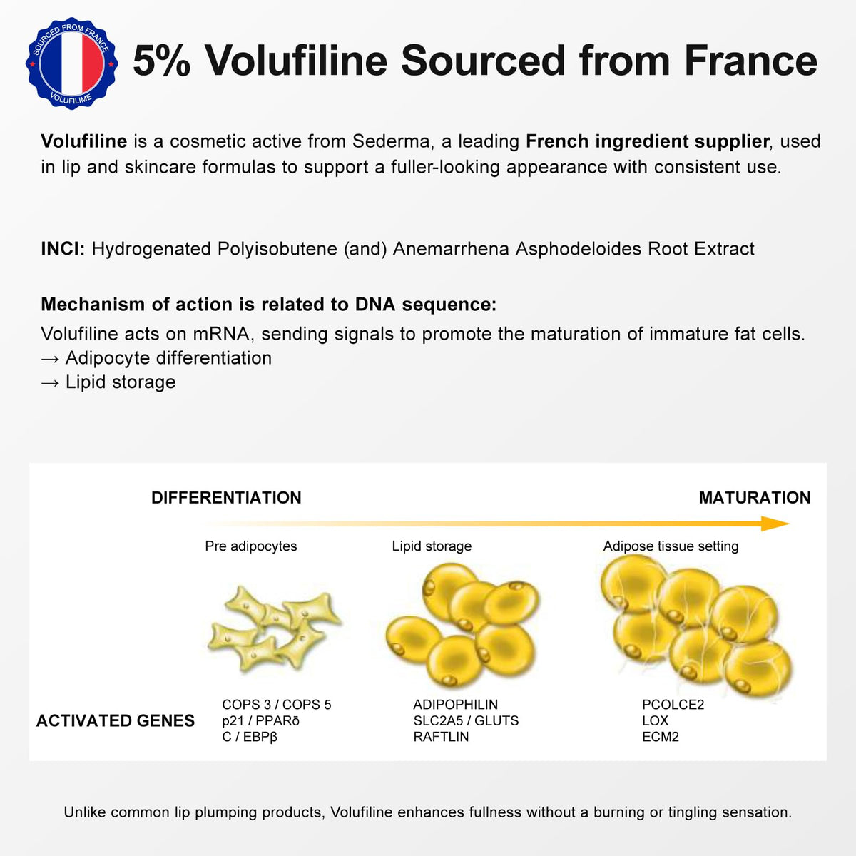 YouthVibe Lip Mask Overnight Moisturizing - Nourish & Hydrate, Antioxidants, 5% Volufiline