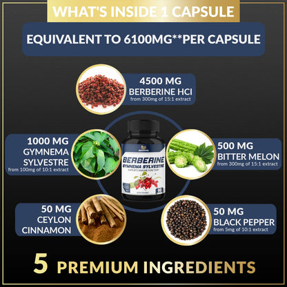 BMVINVOL 5-in-1 Berberine Supplement 6100mg with Ceylon Cinnamon, Gymnema BMVINVOLBuy Supplements Australia