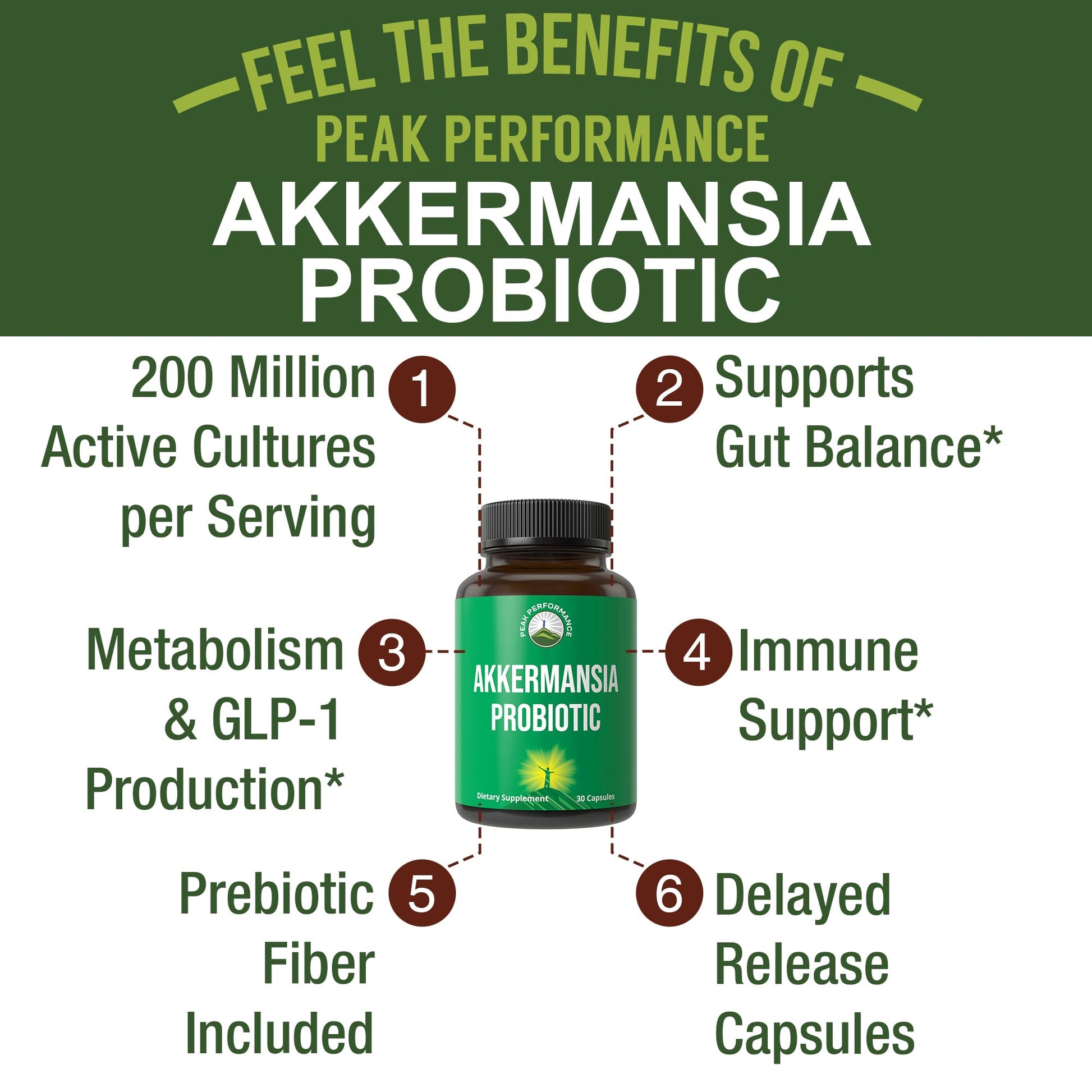Akkermansia Probiotic to Increase GLP-1 Production. Ultra High Strength Akkermansia Muciniphila Live Strain with Prebiotic Fiber for Gut Health & Microbiome Balance. Delayed Release, 3rd Party Tested Peak PerformanceBuy Supplements Australia