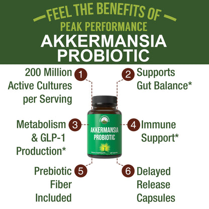 Akkermansia Probiotic to Increase GLP-1 Production. Ultra High Strength Akkermansia Muciniphila Live Strain with Prebiotic Fiber for Gut Health & Microbiome Balance. Delayed Release, 3rd Party Tested Peak PerformanceBuy Supplements Australia
