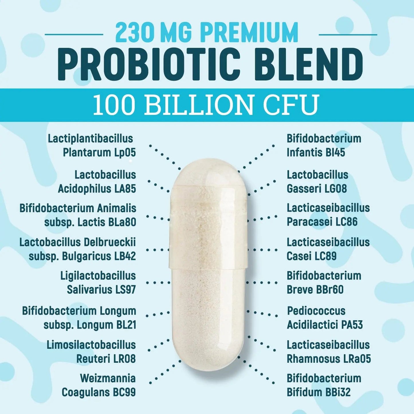 Nature's Physician Probiotics - 100 Billion CFU - 16 Strains + Prebiotics - Best Probiotic Supplement for Women & Men - Supports Immune, Digestive Health, Occasional Constipation & Gas - 60 Capsules Nature's PhysicianBuy Supplements Australia