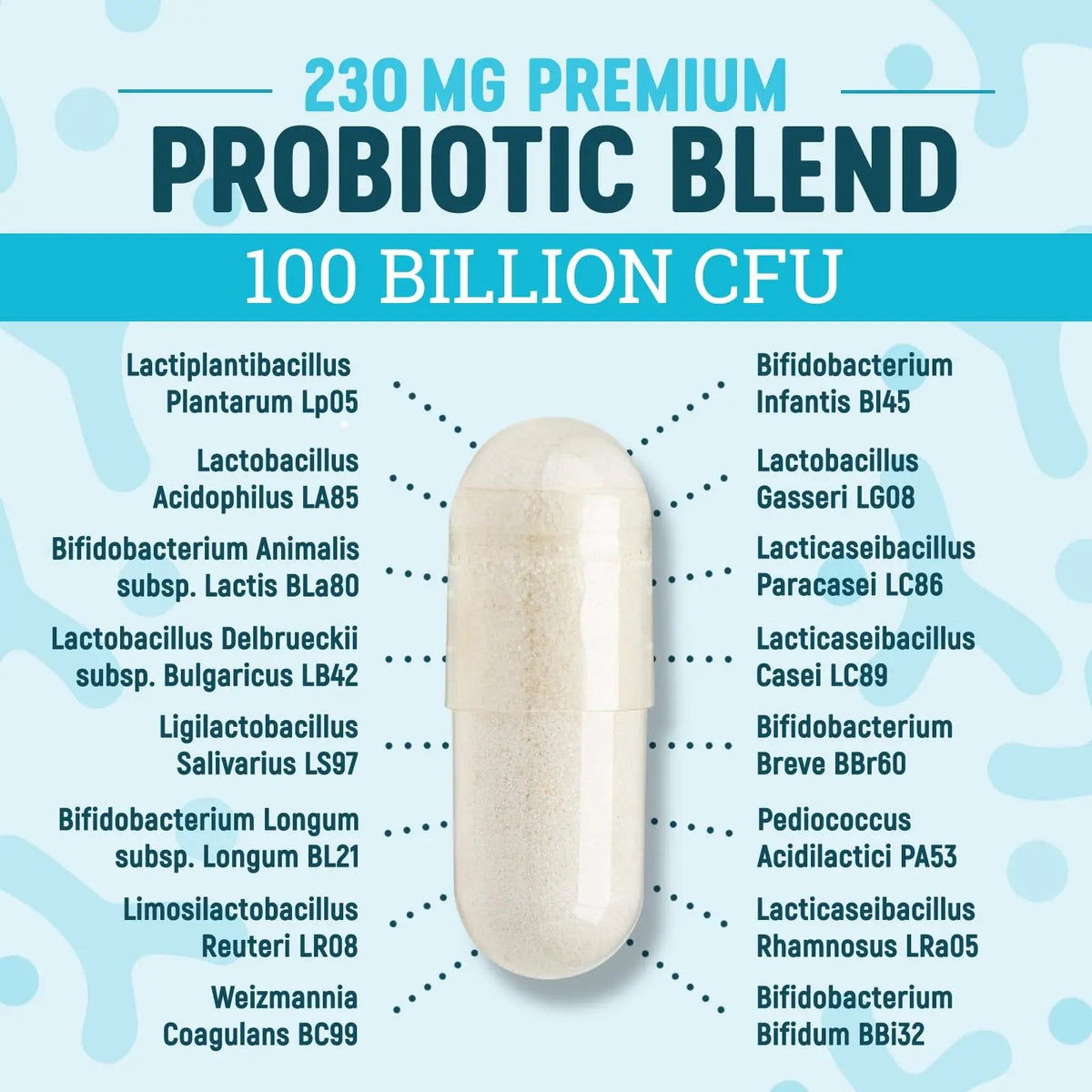 Nature's Physician Probiotics - 100 Billion CFU - 16 Strains + Prebiotics - Best Probiotic Supplement for Women & Men - Supports Immune, Digestive Health, Occasional Constipation & Gas - 60 Capsules Nature's PhysicianBuy Supplements Australia