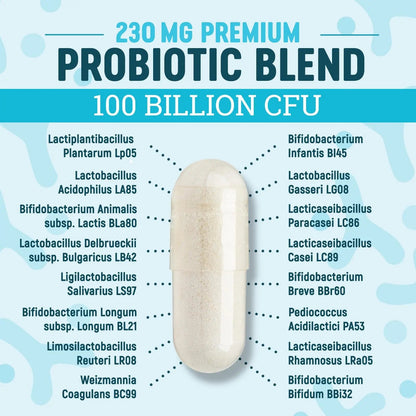 Nature's Physician Probiotics - 100 Billion CFU - 16 Strains + Prebiotics - Best Probiotic Supplement for Women & Men - Supports Immune, Digestive Health, Occasional Constipation & Gas - 60 Capsules Nature's PhysicianBuy Supplements Australia
