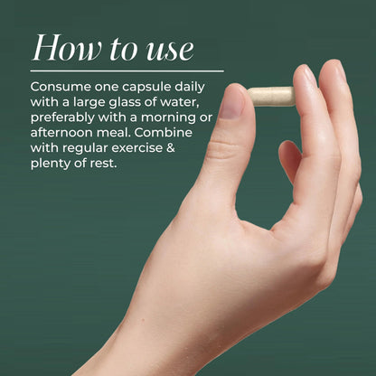 Primal Harvest Probiotics for Women & Men Daily Probiotic Supplement with 12 Strains for Gut & Digestive Health 30 Capsules Primal HarvestBuy Supplements Australia