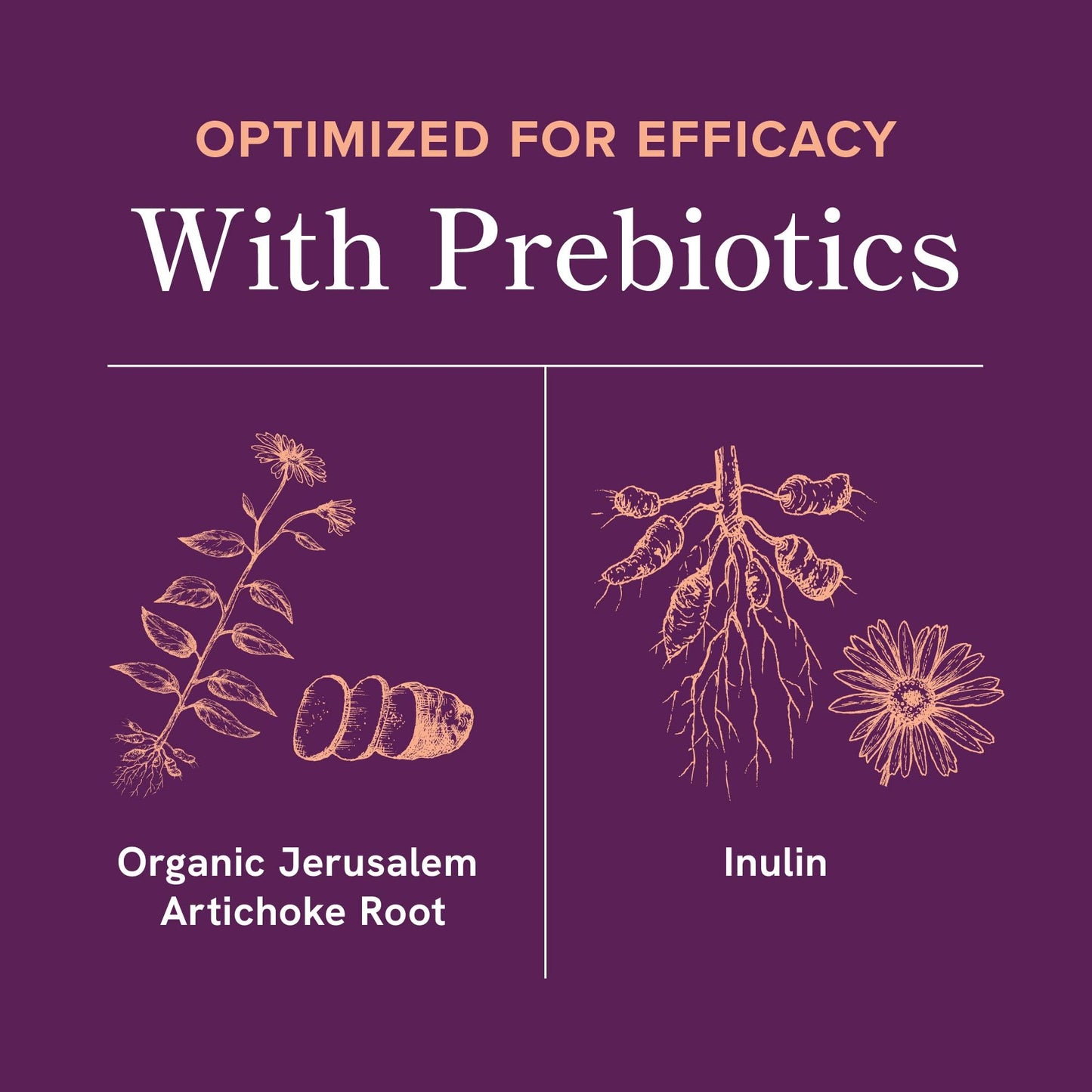 Menopause Support with Prebiotics and Probiotics for Women | Hormone Balance, Hot Flashes & Night Sweats | 50 Billion CFU, DIM & Black Cohosh | Triple Action Menopause Supplements for Women | 30 Ct SMNutritionBuy Supplements Australia