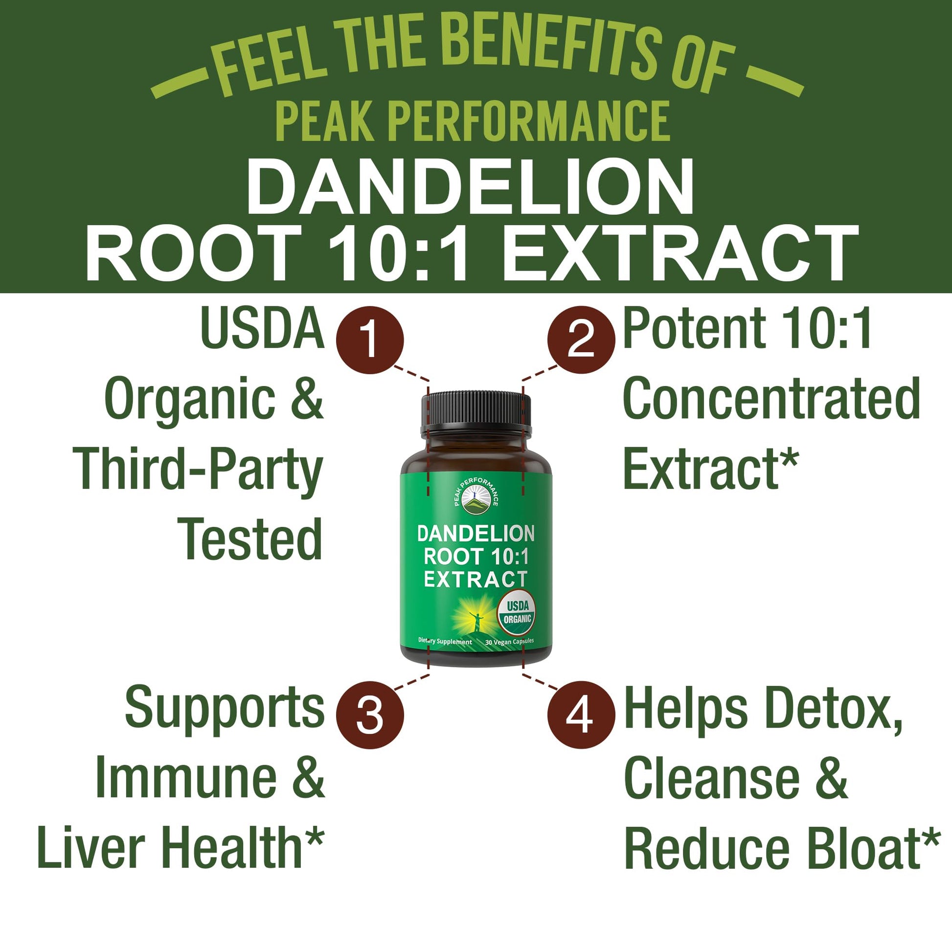 USDA Organic Dandelion Root Extract Supplement - 10x More Potent Than Raw Root. Standardized and Concentrated Vegan Dandelion Root Capsules for Women and Men. Supports Detox, Immune, Liver, Gut Health Peak PerformanceBuy Supplements Australia