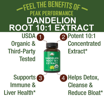 USDA Organic Dandelion Root Extract Supplement - 10x More Potent Than Raw Root. Standardized and Concentrated Vegan Dandelion Root Capsules for Women and Men. Supports Detox, Immune, Liver, Gut Health Peak PerformanceBuy Supplements Australia