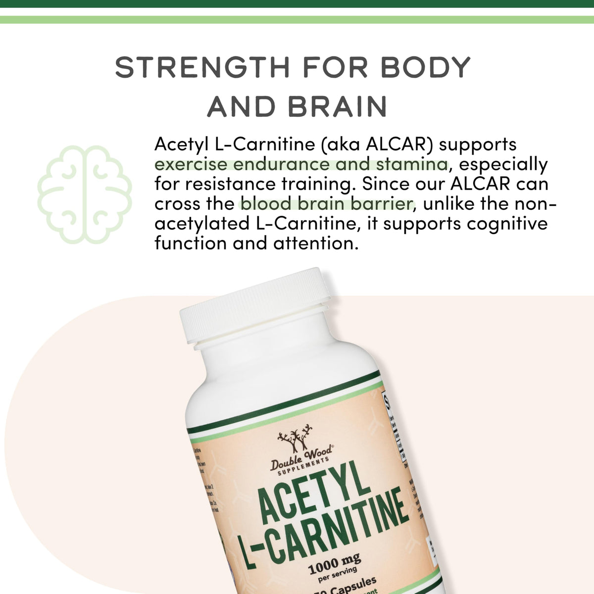 Acetyl L-Carnitine 1,000mg Per Serving, 150 Capsules (ALCAR for Brain Function Support, Memory, Attention, and Stamina) Acetyl L Carnitine That is Third Party Tested by Double Wood Double Wood SupplementsBuy Supplements Australia