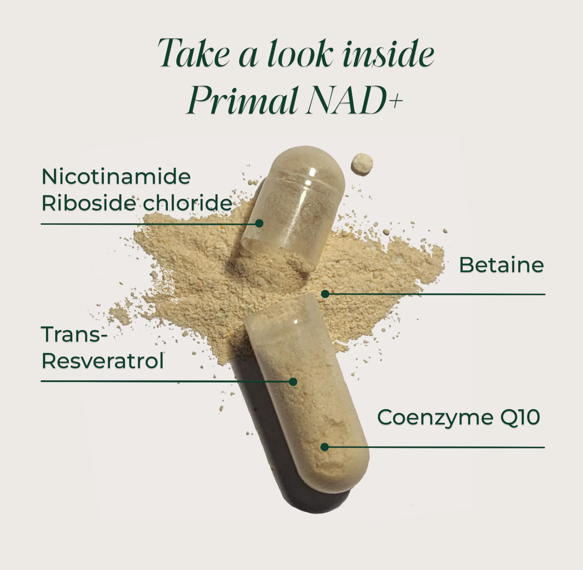 Primal Harvest NAD+ Supplement: Nicotinamide Riboside, Trans-Resveratrol, Betaine, CoQ10, NAD Supplements for Cellular Health, Energy, and Mitochondrial Support (60 Count (1 Pack) Primal HarvestBuy Supplements Australia