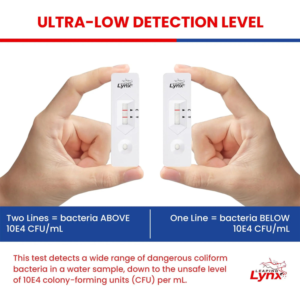 Bacteria Water Test Kit – Coliform, E. coli & Salmonella Detection for Well & Tap Water | Rapid Home Drinking Water Screening Kit with Lab-Quality Results | Leaping Lynx Leaping LynxBuy Supplements Australia