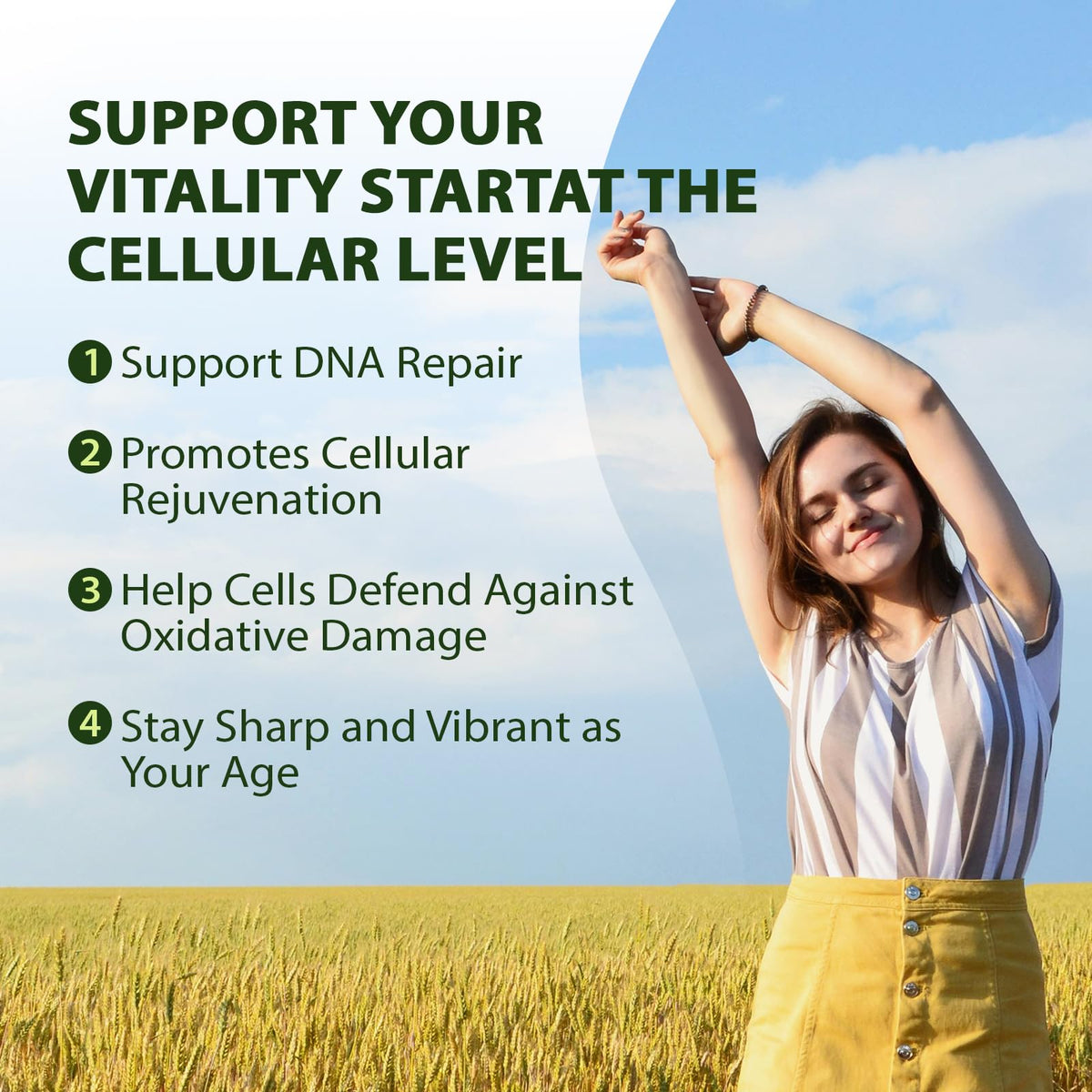 PureBotan Liposomal NAD+ Resveratrol Supplement 1300mg, High Bioavailable Trans Resveratrol ResUP10, with Extra Strength NAD Plus, Support Aging, Cardiovascular Health and Cellular Energy, 60 Capsules PureBotanBuy Supplements Australia