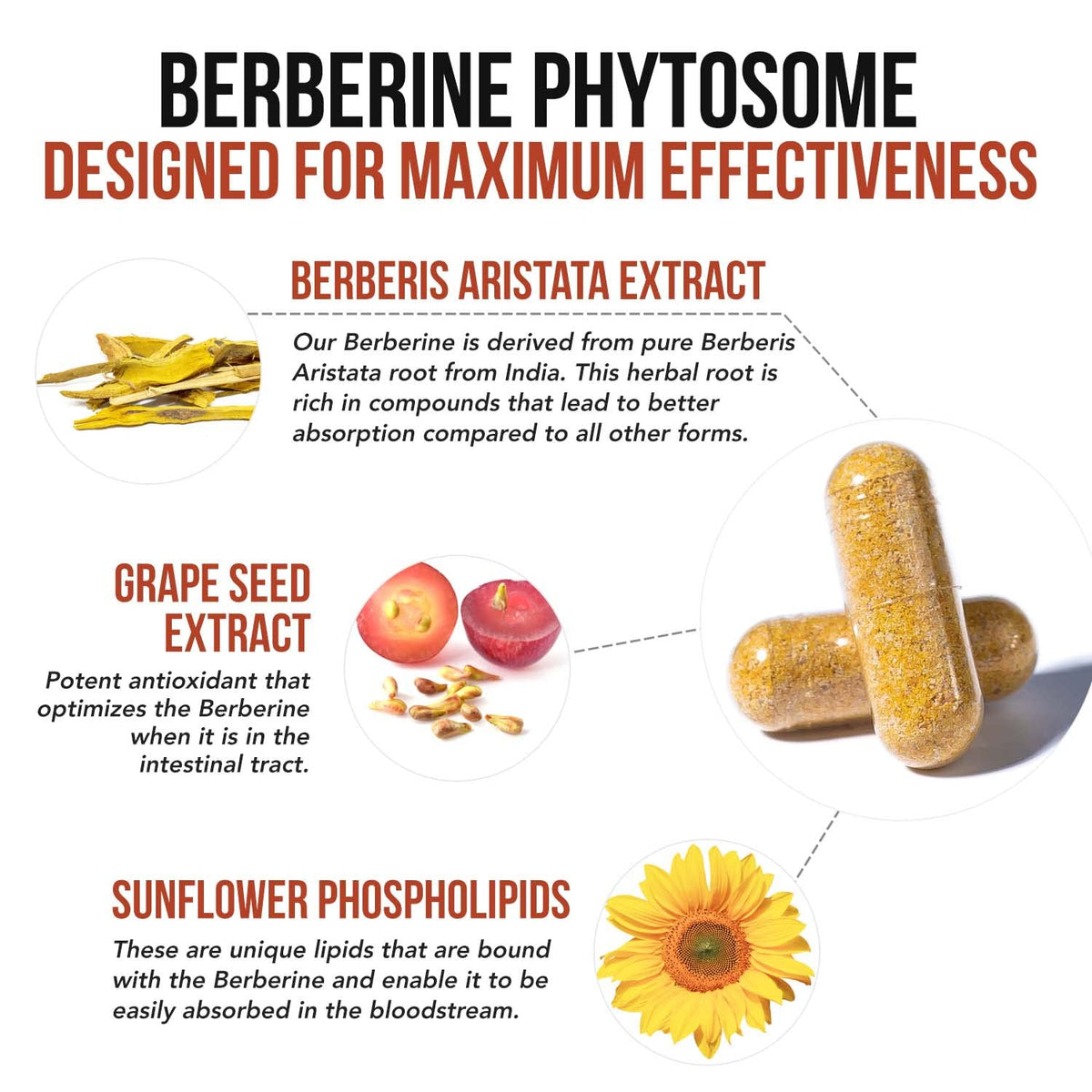 SoActive Berberine 550mg: 9.6X Higher Absorption, Clinically Proven Most Effective Triquetra HealthBuy Supplements Australia