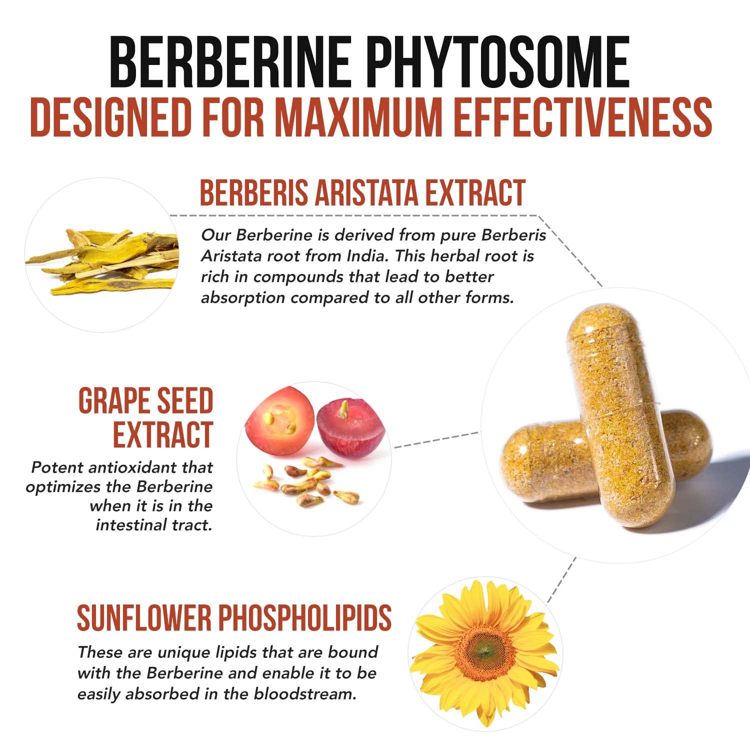 SoActive Berberine 550mg: 9.6X Higher Absorption, Clinically Proven Most Effective Triquetra HealthBuy Supplements Australia