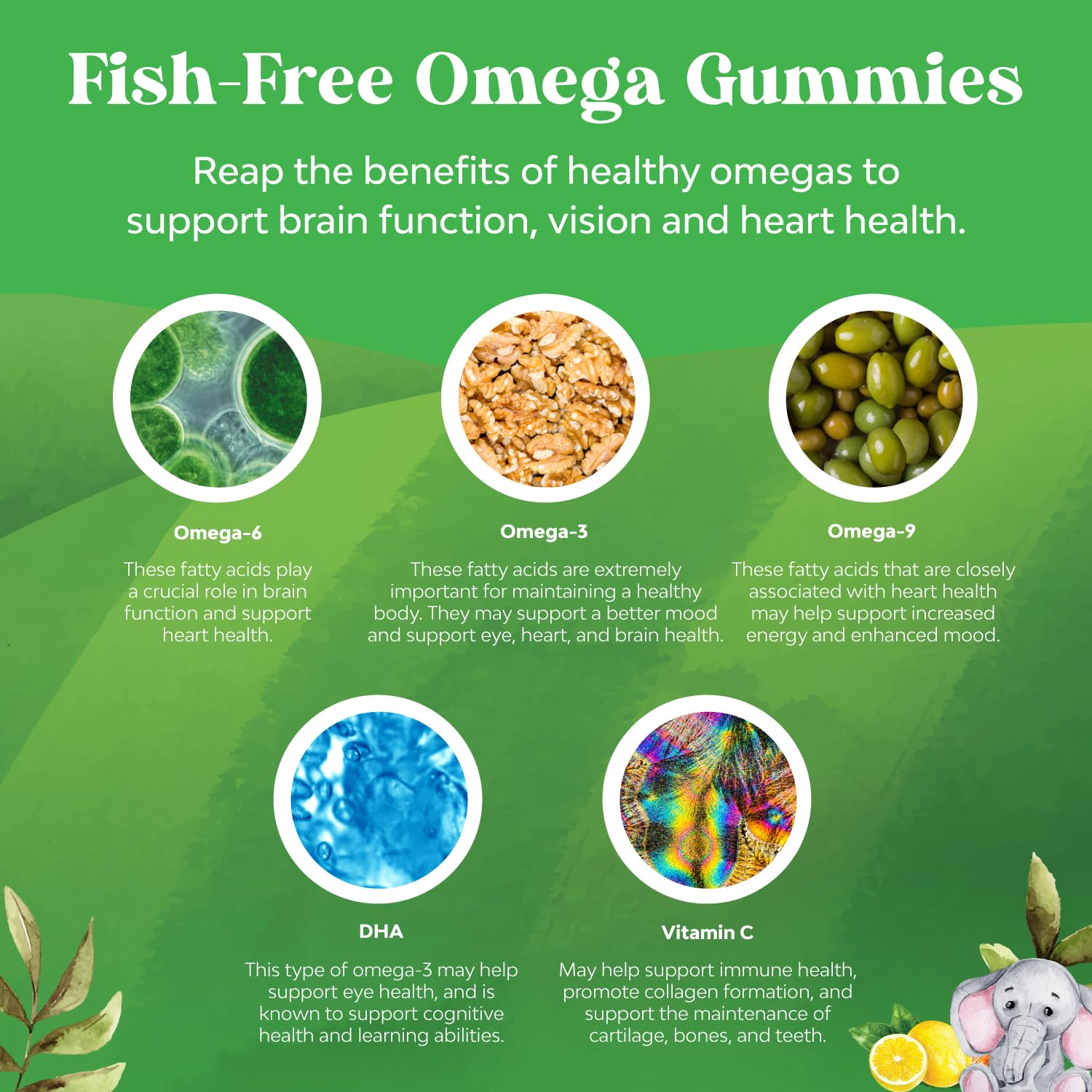 Bundle of Kids DHA Omega 3 Gummies - Fatty Acids Omega 3 6 9 for Brain Immune Strength Vision Focus Support and Liquid Multivitamin for Kids Immunity Support Natures CraftBuy Supplements Australia