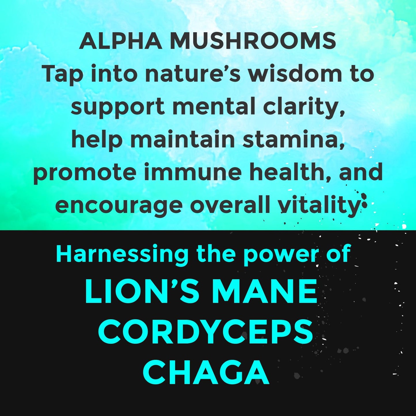 Fully Loaded Alpha Mushroom Pouches - Adaptogen Nootropic Pouches (5-Pack, Vanilla) - Lion's Mane, Cordyceps, & Chaga - 5 cans, 15 Pouches per can - Functional Mushrooms - Made in the USA Fully Loaded BullseyeBuy Supplements Australia