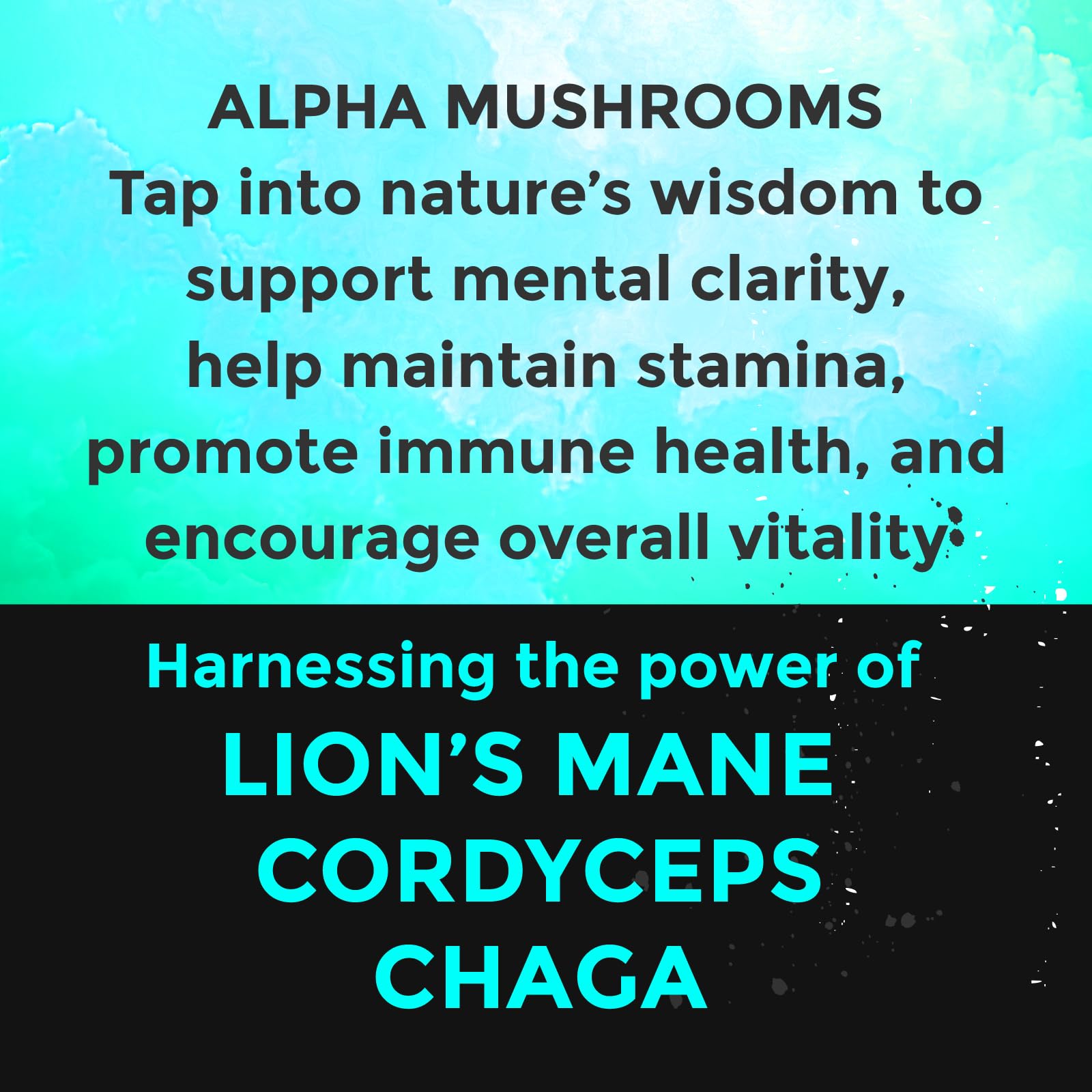 Fully Loaded Alpha Mushroom Pouches - Adaptogen Nootropic Pouches (5-Pack, Vanilla) - Lion's Mane, Cordyceps, & Chaga - 5 cans, 15 Pouches per can - Functional Mushrooms - Made in the USA Fully Loaded BullseyeBuy Supplements Australia