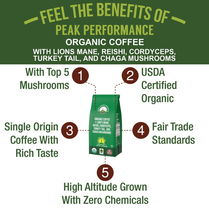 Organic Low Acid Mushroom Coffee with Lion's Mane, Reishi, Cordyceps, Turkey Tail, and Chaga Mushrooms - Great Tasting Premium High Altitude Medium Roast Ground Bags 10 oz by Peak Performance Peak PerformanceBuy Supplements Australia
