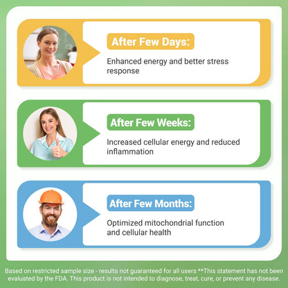 Nature Whisper NAD+ Supplement 620mg | 6-in-1 Complex with Resveratrol, Ashwagandha & Urolithin A - Daily Energy Stack for Focus, Brain Fog & Healthy Aging - 60 Capsules Nature WhisperBuy Supplements Australia