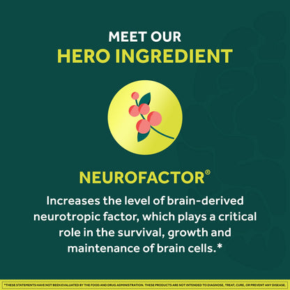 NEURIVA Brain + Energy Gummies, Nootropic Brain Supplements for Focus and Concentration with Neurofactor, Vitamin B12 & Caffeine for an Energy Boost*, 75ct Natural BlackBerry NEURIVABuy Supplements Australia