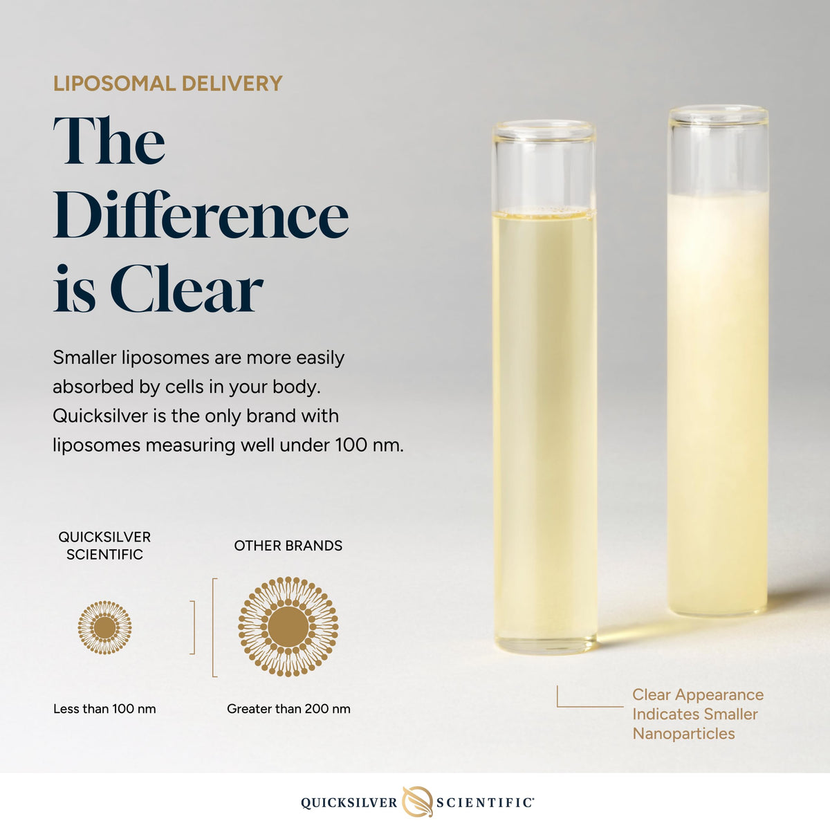 Quicksilver Scientific CoQ10 Nanoemulsion - Liposomal Coenzyme Q10 Cardiovascular Support & Cellular Energy Supplement - Fast Absorbing Liquid (1.7oz / 50ml) Quicksilver ScientificBuy Supplements Australia