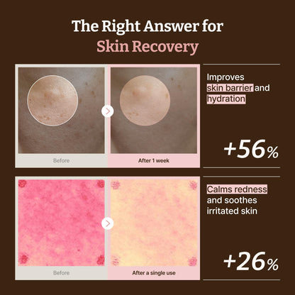 Dr.Reju-All Advanced PDRN Rejuvenating Cream Max – 99% Pure Salmon DNA Gel Type Face Moisturizer – Optimal 1200ppm for Glass Skin & Plumping – Korean Pharmacy Anti-Aging Skin Care Face Cream -2 Fl Oz Dr.Reju-All buy supplements Au