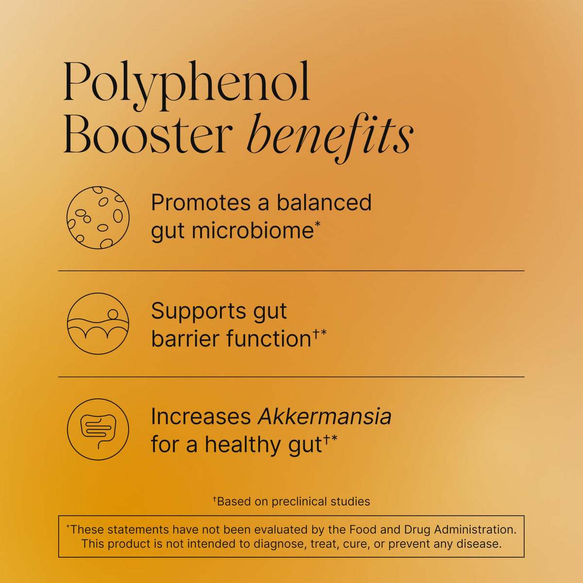 Pendulum Polyphenol Booster, Antioxidant from Superfoods, Beneficial Plant Compounds for Good Health, Helps Boost Akkermansia Muciniphila for Men & Women (60 Capsules, 1-Pack) PendulumBuy Supplements Australia