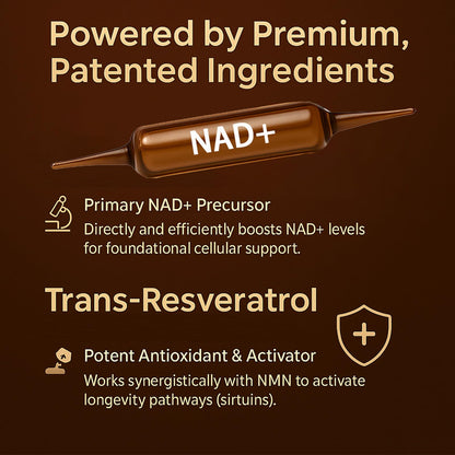 NAD Advanced Cellular Renewal - 1200mg NAD Supplement for Skin Aging Support Energy & Focus - 10 Vials (1) ARSYCHLLBuy Supplements Australia