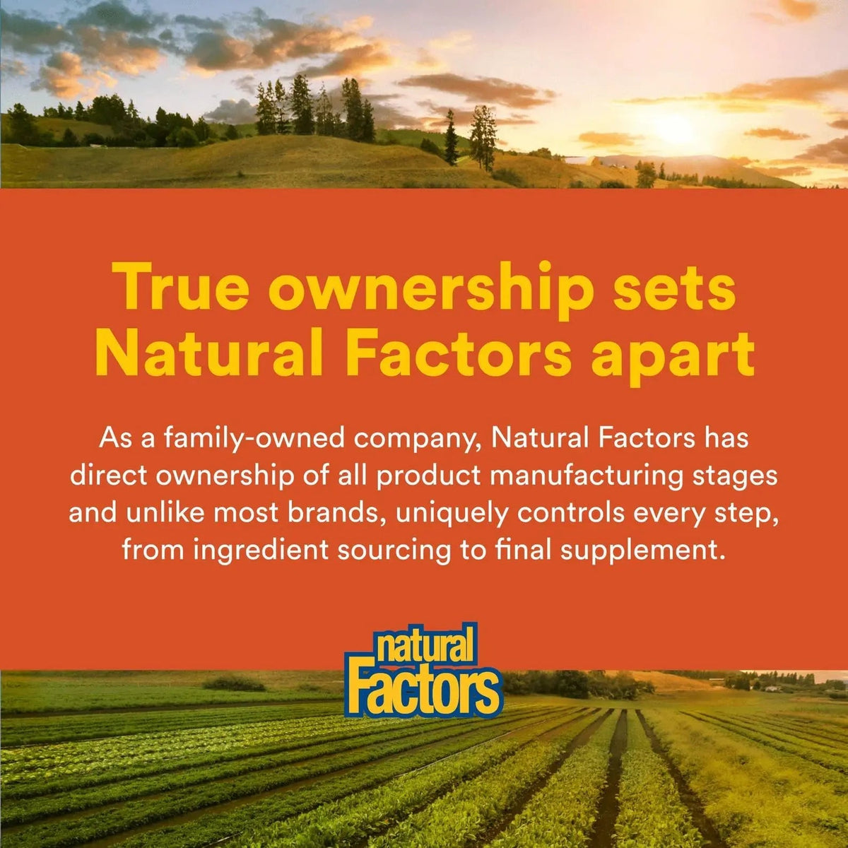 Natural Factors Hi Potency B Complex, 50 mg, 90 Capsules Natural FactorsBuy Supplements Australia