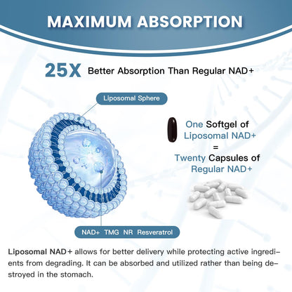inGreens Liposomal NAD+ Supplement 1800 mg with Nicotinamide Riboside, Trans Resveratrol, Trimethylglycine，Replaces NMN, Boost NAD+, Aging Defense，Cellular Energy, 120 Softgels inGreensBuy Supplements Australia