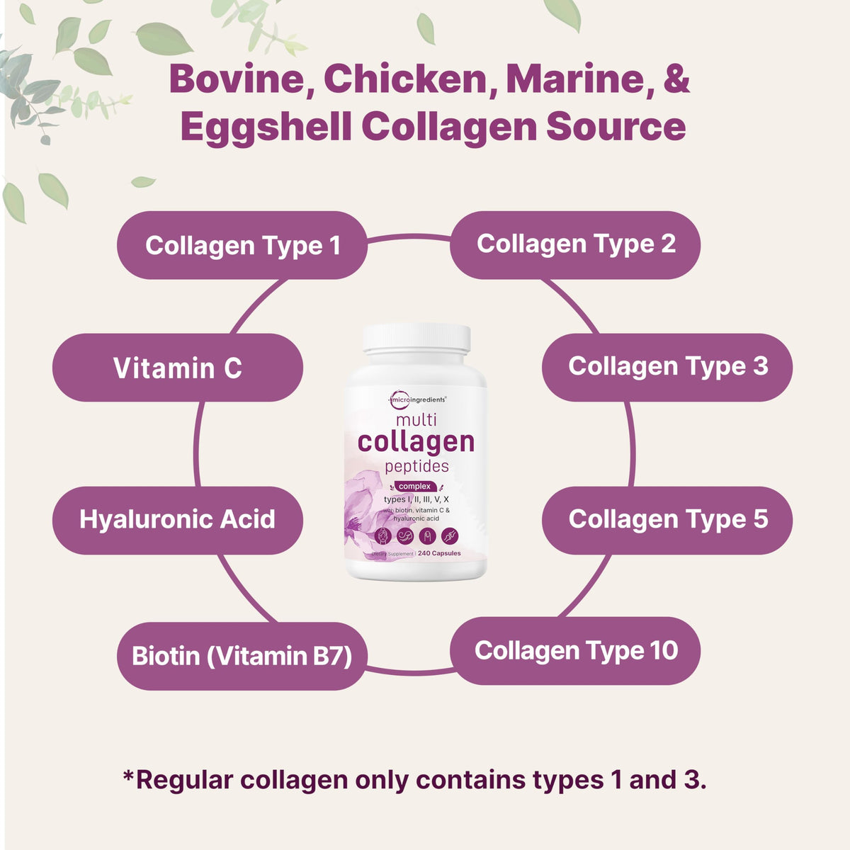 Micro Ingredients 2 Pack Multi Collagen Pills for Women & Men, 480 Capsules | Type I, II, III, V, X | Hydrolyzed Protein Peptides with Biotin, Hyaluronic Acid, & Vitamin C | Keto & Paleo Friendly Micro Ingredients buy supplements Au
