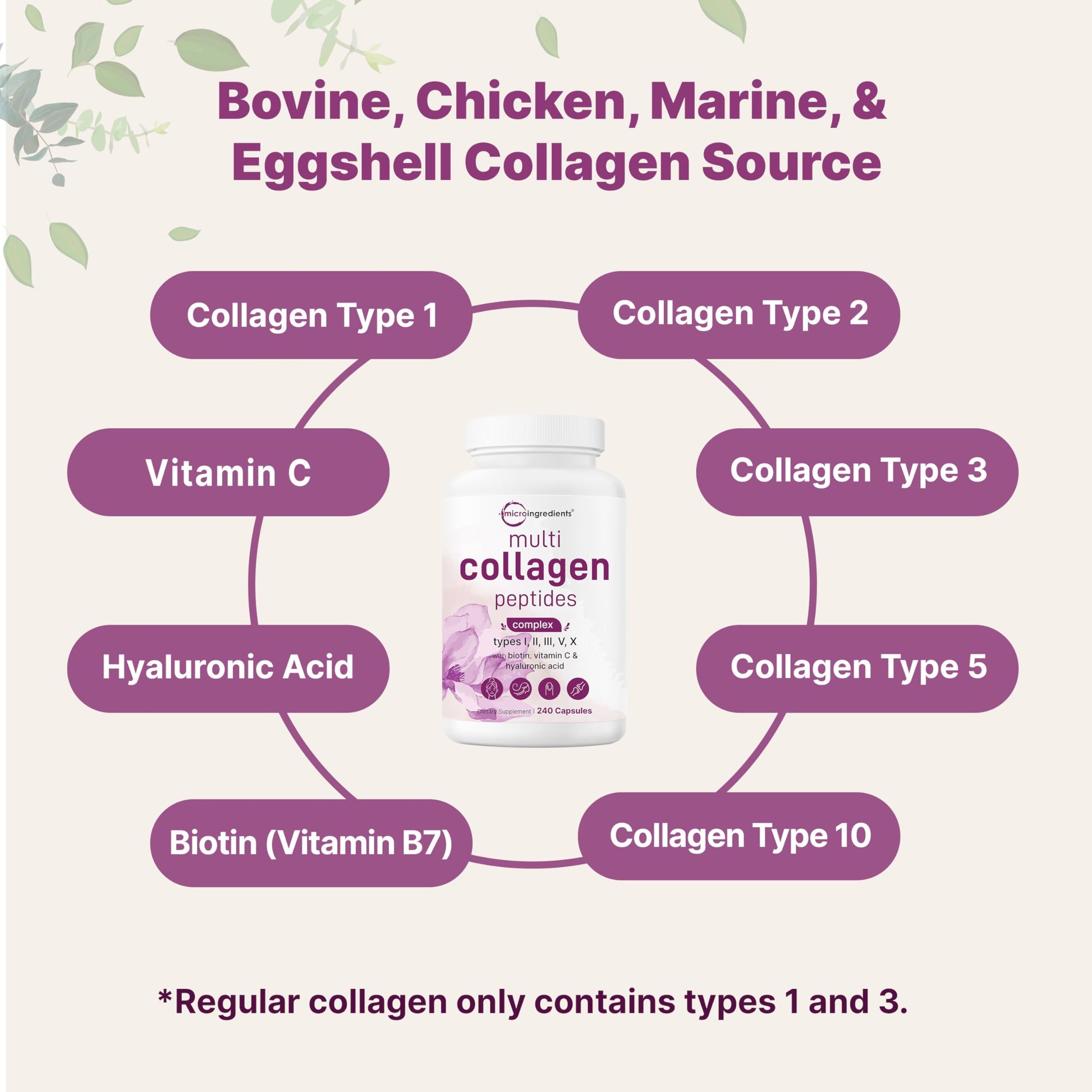 Micro Ingredients 2 Pack Multi Collagen Pills for Women & Men, 480 Capsules | Type I, II, III, V, X | Hydrolyzed Protein Peptides with Biotin, Hyaluronic Acid, & Vitamin C | Keto & Paleo Friendly Micro Ingredients buy supplements Au