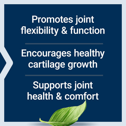 Life Extension NT2 Collagen™, Joint Health Supplement for Joint Comfort & Mobility, Gluten-Free, Non-GMO, 1 Daily, 60 Small Capsules Life ExtensionBuy Supplements Australia