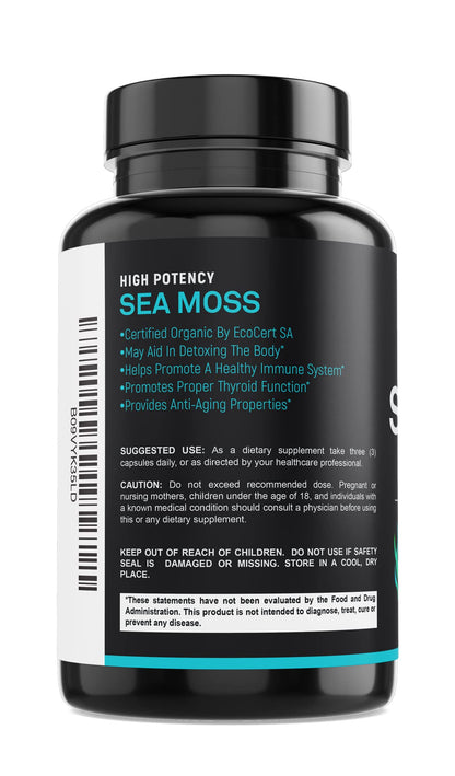 Certified Organic Sea Moss Capsules 2250mg Wildcrafted Irish Sea Moss Burdock Root SPARTISBuy Supplements Australia