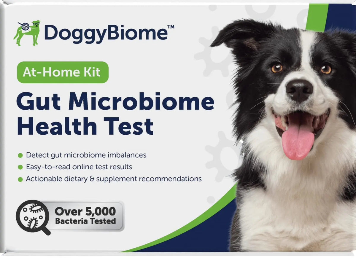 AnimalBiome Dog Gut Health Test – DoggyBiome At Home Stool Testing Kit, Canine Fecal Analysis for Digestive Issues, Diarrhea & Allergy Insights w/Personalized Report & Custom Plan (Dogs in US) AnimalBiomeBuy Supplements Australia