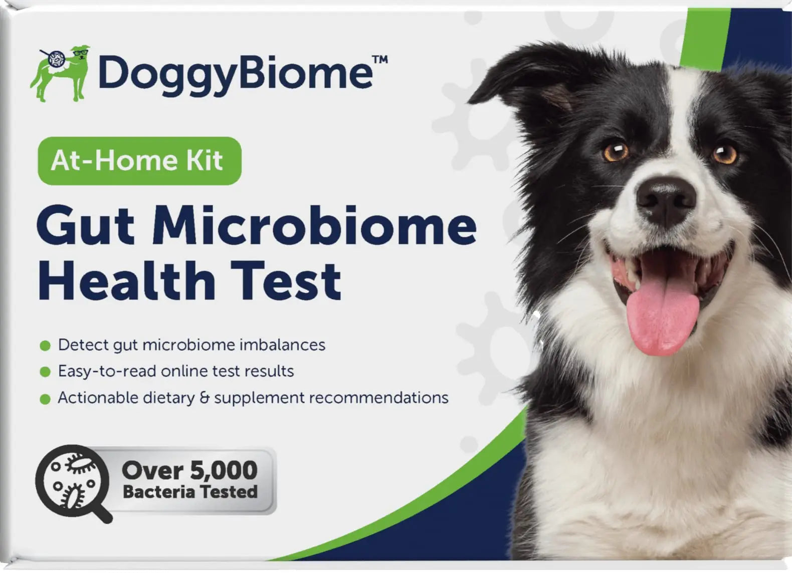 AnimalBiome Dog Gut Health Test – DoggyBiome At Home Stool Testing Kit, Canine Fecal Analysis for Digestive Issues, Diarrhea & Allergy Insights w/Personalized Report & Custom Plan (Dogs in US) AnimalBiomeBuy Supplements Australia
