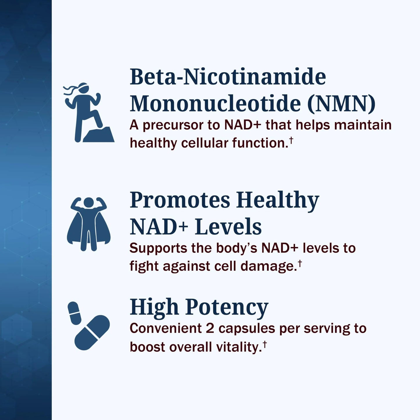 BioSchwartz NMN Supplement - 500mg Nicotinamide Mononucleotide - 30 Servings, 60 Capsules - Made in The USA with Premium Globally Sourced Ingredients, Third-Party Tested, Gluten-Free NMN Supplement BioSchwartzBuy Supplements Australia
