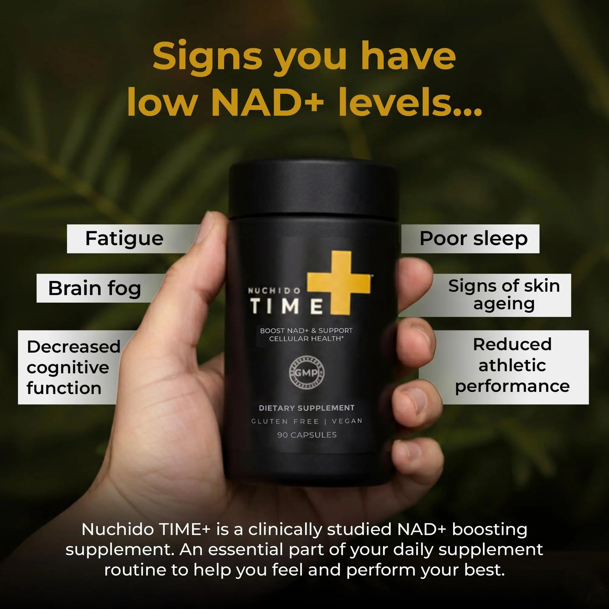 Nuchido Time+ NAD Supplement for Men & Women - Advanced Formula for Healthy Aging, Energy, Focus, Cellular Health & Longevity - Nicotinamide, Alpha Lipoic Acid, Quercetin - 90 Capsules Nuchido Time+Buy Supplements Australia