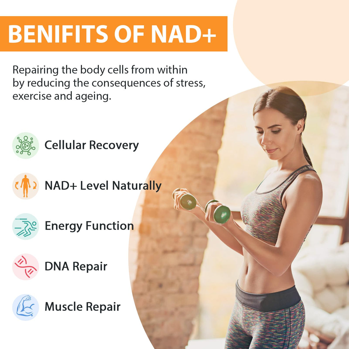 Orgabay Liposomal NAD+ Supplement 500 mg, High Absorption, Boost NAD+ with TMG 250 mg, Actual NAD Plus More Efficient Than Nicotinamide Riboside, Support Cellular Energy, Healthy Aging | 180 Softgels OrgabayBuy Supplements Australia